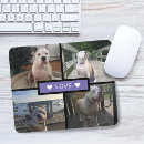 Search for cute animal pictures electronics Photos