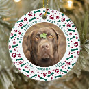 Search for dog bone christmas tree decorations Cute