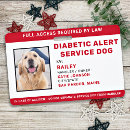 Search for alert Service dog