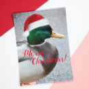 Search for mallard duck christmas cards Waterfowl