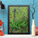 Search for iris garden posters Gardens