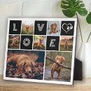 Search for paw print plaques Simple