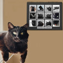 Search for black cat calendars Pet
