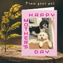 Search for pet mothers day cards Puppy