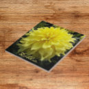 Search for dinner tiles Floral