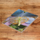 Search for blue poppy tiles Floral