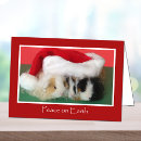 Search for guinea pig christmas cards Cavy