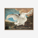 Search for threatened art Jan asselijn