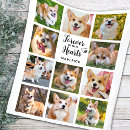 Search for in loving memory blankets Pet loss