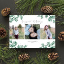 Search for evergreens christmas cards Modern