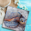 Search for turtle puzzles Hawaii
