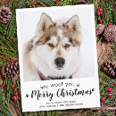 Search for bulk christmas cards Fun
