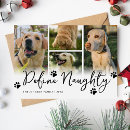 Search for define naughty cards Pet