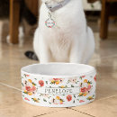 Search for orange pet supplies Tangerine