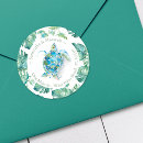 Search for ocean envelope seals Sea turtle