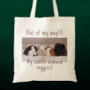 Search for guinea pig bags Pigs