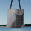 Search for black grey cat bags Cats