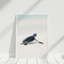 Search for ocean posters Beach