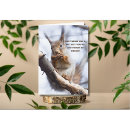 Search for cute squirrels cards Wildlife