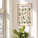 Search for vintage biology posters Plants