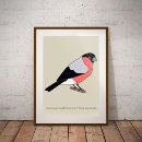 Search for bullfinch posters Nature
