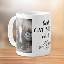 Search for cat mugs Pets