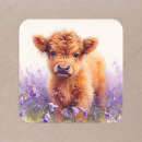 Search for scottish highland cow stickers Calf