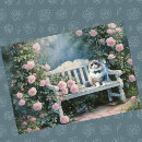 Search for ragdoll cat birthday cards Blue eyes