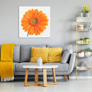 Search for gerberas art Orange
