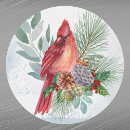 Search for red cardinal stickers Songbird