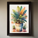 Search for pot plants posters Flowers
