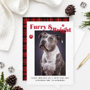Search for furry cards Pet