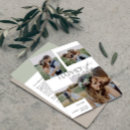 Search for ever after postcards Typography