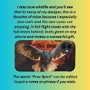 Search for bird flight electronics Wildlife