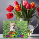 Search for corgi puppy birthday cards Cute