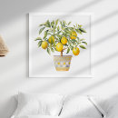 Search for lemon watercolor art Citrus