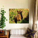 Search for marsupials posters Wallaby