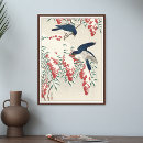 Search for flycatcher posters Nature