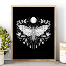 Search for moth Black and white
