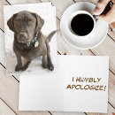 Search for chocolate labrador cards Brown