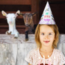 Search for farm birthday party decor Colourful