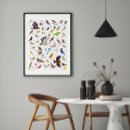 Search for ornithologist posters Birding