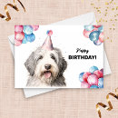 Search for old english sheepdogs cards Cute
