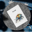 Search for beetles postcards Scarab