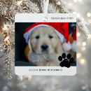 Search for dogs christmas tree decorations My first christmas