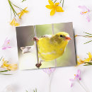 Search for finch postcards Feeder