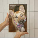 Search for german shepherd photo posters Animal