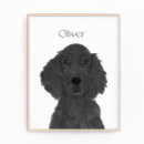 Search for flatness art Flat coated retriever