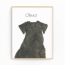 Search for schnauzer mini posters Dog