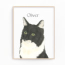Search for black felines posters Black and white cat